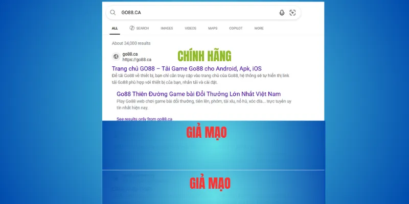 Xác nhận miền chính thức của Go88 – go88.com và go88.ca 2 Miền go88.com lâu đời và được sử dụng ổn định